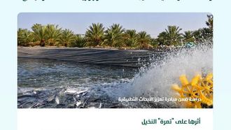 ارتفاع عائد التمر بنسبة 26% بفضل مياه السمك