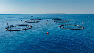 EAD's Sustainable Aquaculture In Abu Dhabi