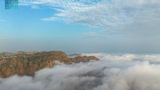 الطائف: حيث تزدهر الطبيعة