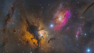 Key Scientific Discoveries Of The 21st Century