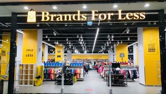 Brands For Less Champions Sustainable Fashion