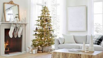 Explore Crate And Barrel's 2024 Holiday Collection