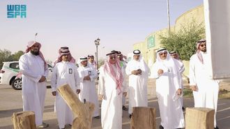 NCVC CEO Reviews Firewood Recycling Progress