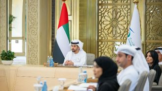 AI's Impact On Sustainability Discussed By Hamdan Bin Zayed