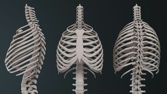 طريقة علاجية جديدة لإصابات الحبل الشوكي