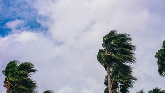 إعصار ميلتون يقترب من ساحل فلوريدا