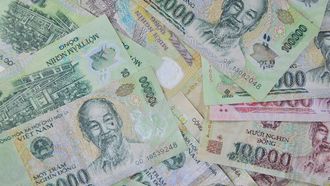 Vietnam's Overseas Investment Declines Significantly