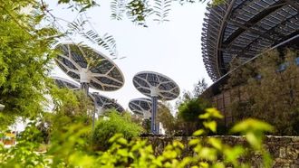 احتفالات اليوم الوطني لدولة الإمارات العربية المتحدة في إكسبو سيتي دبي