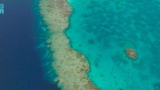 الثقوب الزرقاء: مفتاح الاستدامة في البحر الأحمر