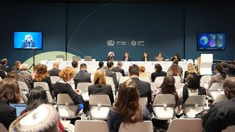 UAE Engages In COP29 Climate Discussions