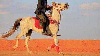 ركوب الخيل .. تراث ثقافي في طريف