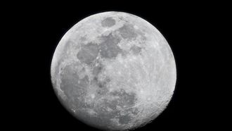 اقتراح إنشاء مستودع بيولوجي قمري للتنوع البيولوجي