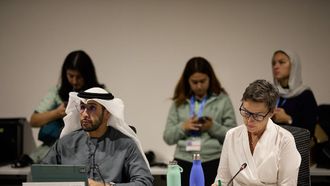 UAE Discusses Water Issues At COP29