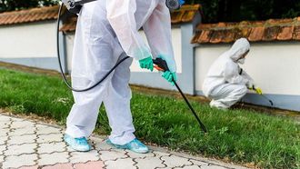 الجليفوسات قد يسبب أعراض الخرف لدى الفئران