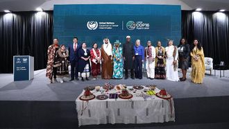 Youth And Indigenous Groups Unite At COP16