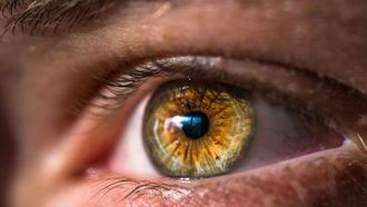 دور التغذية في صحة العين