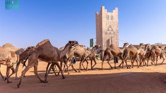 إعلان الفائزين في مسابقة مسافر قعيضان