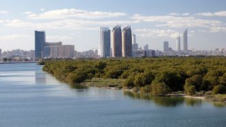 Mangrove Conservation Conference In Abu Dhabi