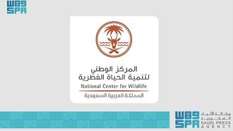 NCW Research On Predator Diversity In Saudi Arabia