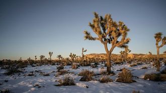 Saudi Arabia's 89-Day Winter Season Begins