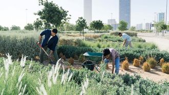 Saudi Green Initiative Promotes Climate Action