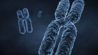 تمارين القوة يمكن أن تقلل من العمر البيولوجي