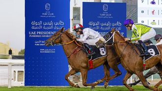 UAE President Cup For Purebred Arabian Horses Starts Tomorrow