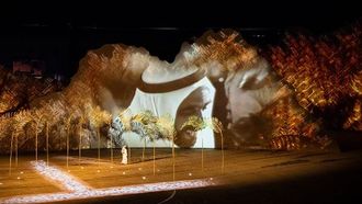 الإمارات تحتفل باليوم الوطني الـ53 بتركيز على التراث