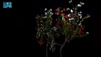 Innovative Water Conservation Solutions By RDIA