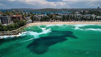 تجمعات الأسماك تستدعي اتخاذ تدابير السلامة في شاطئ مانلي