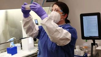 أول حالة وفاة مؤكدة بفيروس أنفلونزا الطيور H5N1 في الولايات المتحدة