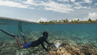 Conservation Snorkeling At Sun Siyam Iru Fushi