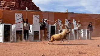 Endangered Species Released At NEOM Reserve