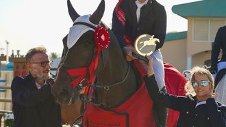 FBMA Show Jumping Cup Begins In Abu Dhabi