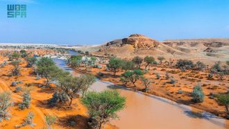 New Strategy For King Abdulaziz Reserve's Eco-Tourism