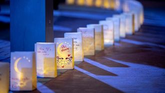 انضم إلى مسيرة دعونا نعيش في الشارقة