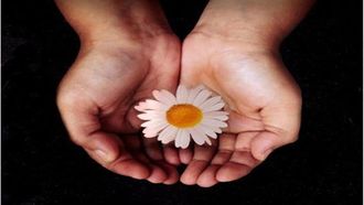 Rubaru Roshani Marks Six Years Of Impact