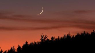 31 يناير أول أيام شهر شعبان