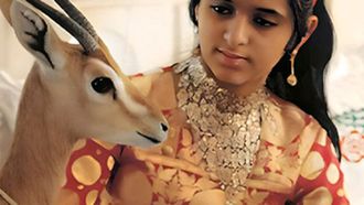 Empowering Emirati Families: New Initiative Launched