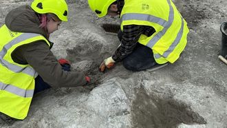 اكتشاف آثار أقدام ديناصورات في أوكسفوردشاير