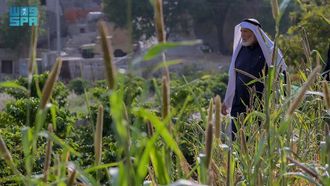 Al-Baha: Key Agricultural Hub In Saudi Arabia