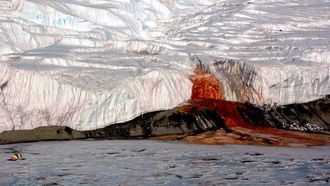 Antarctica's Blood Falls: A Natural Enigma