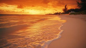 Barbados: Your 2025 Travel Destination