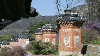 أفضل وقت لزيارة أزهار الكرز في كوريا