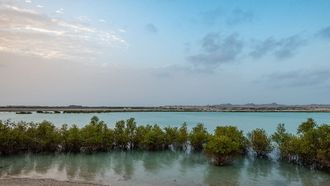 EAD Unveils New Environmental Penalty Regulations