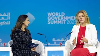 معايير الحوكمة الفعالة بقلم إيفيكا سيلينا