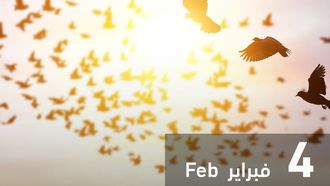 Celebrating International Day Of Human Fraternity