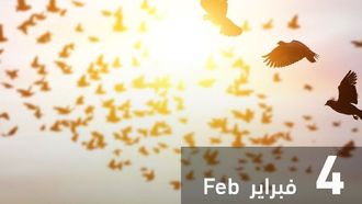 وثيقة الأخوة الإنسانية تعزز التسامح العالمي