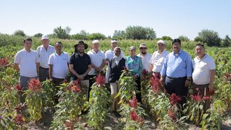 Karakalpakstan Project Wins Energy Globe Award