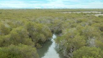 مركز خور كلباء ينضم إلى الجمعية العالمية للأراضي الرطبة